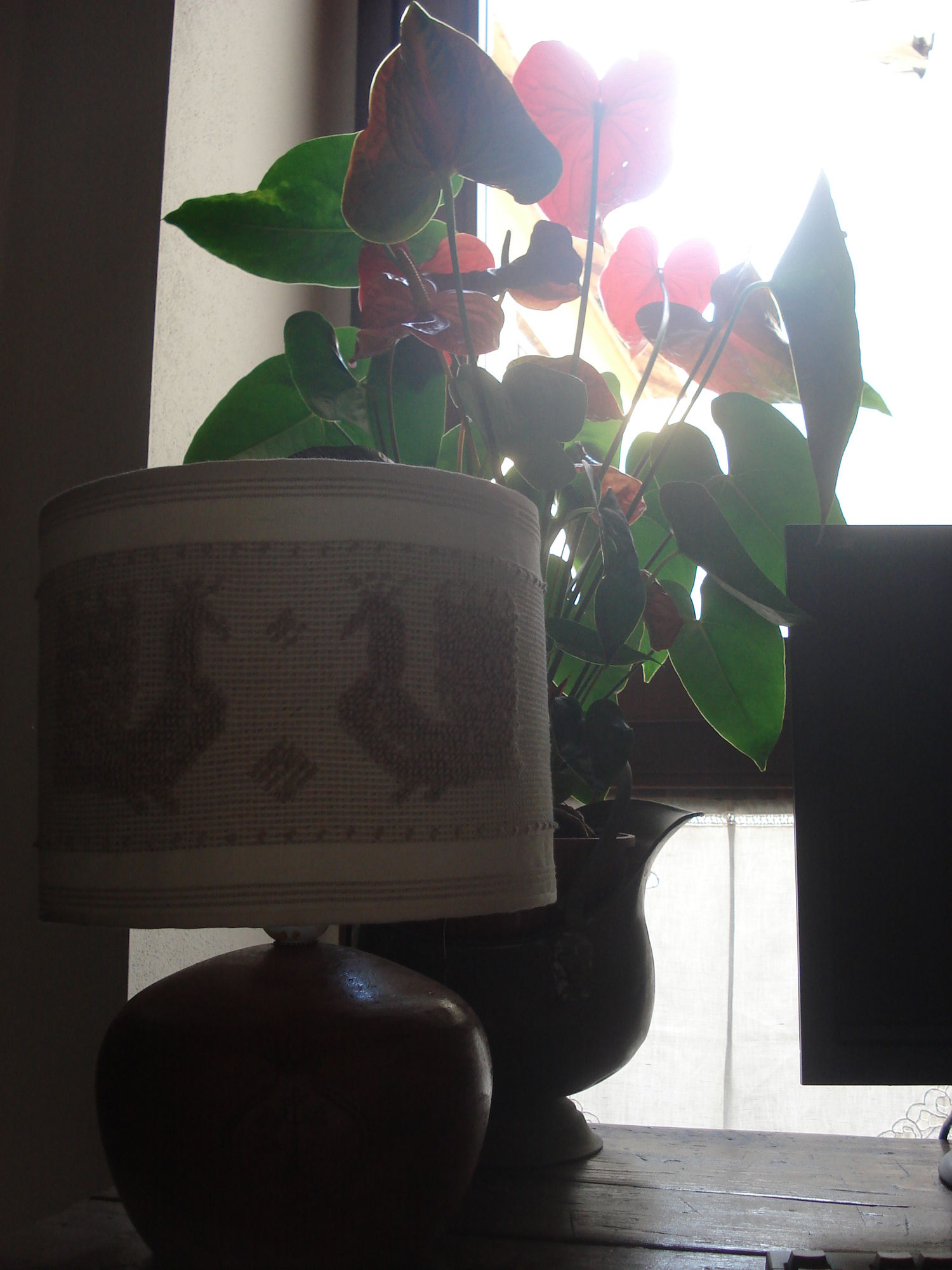 Фото Guest House Il Giardino Segreto