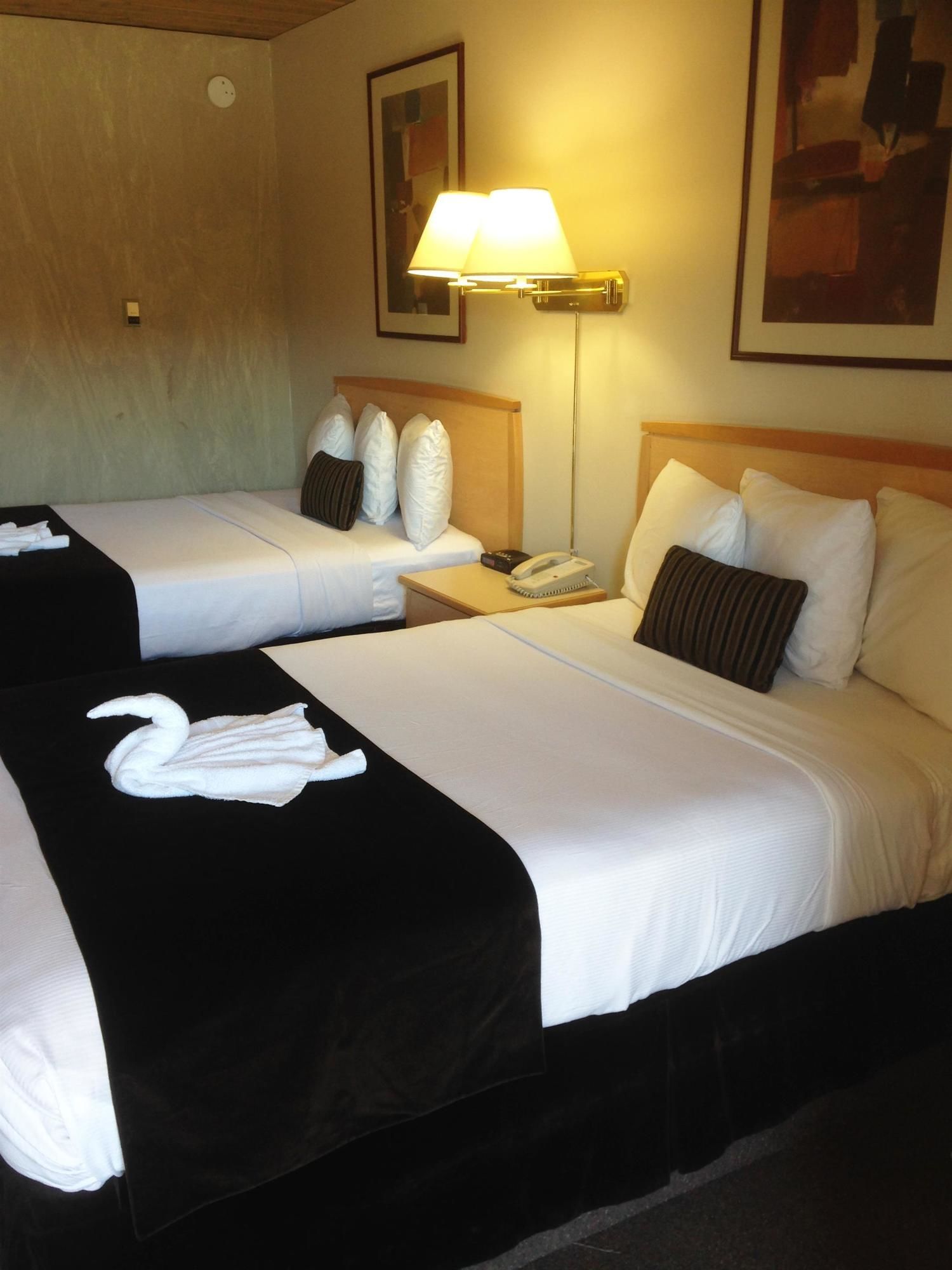 Фото Canadas Best Value Inn & Suites Fernie