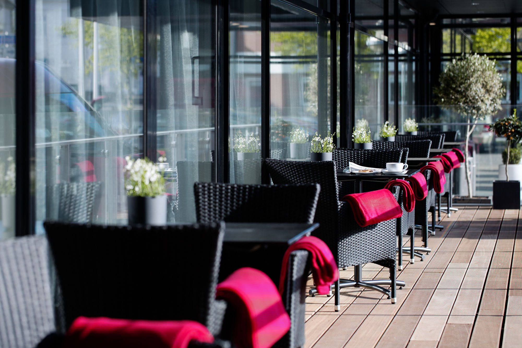 Фото Scandic Regina