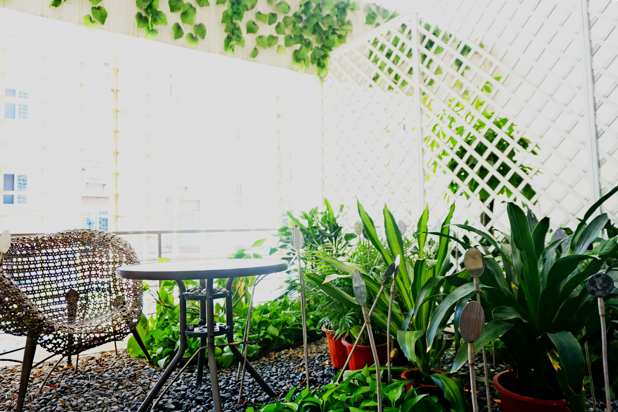 Фото Hotel Kapok Beijing - Forbidden City