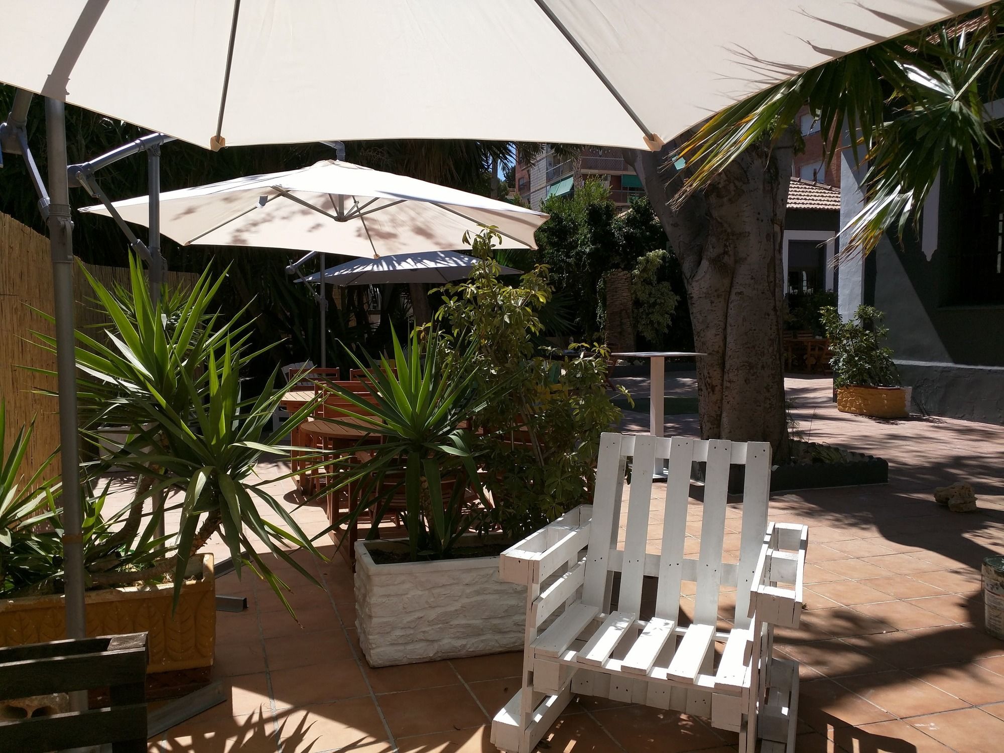 Фото Nwt Paradise Urban Hostel