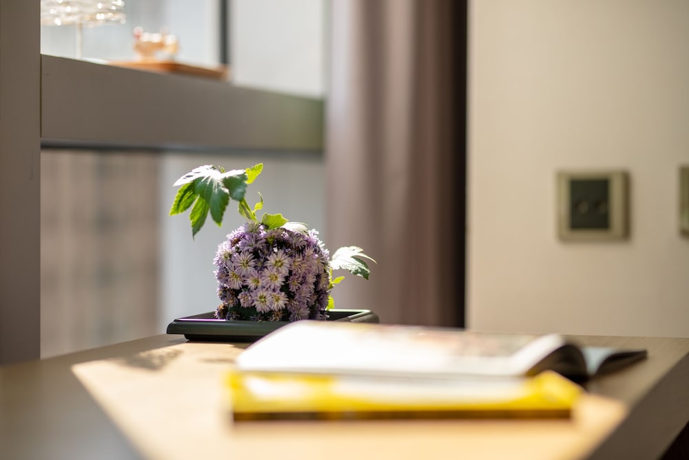 Фото Chaiin Hotel - Dongmen