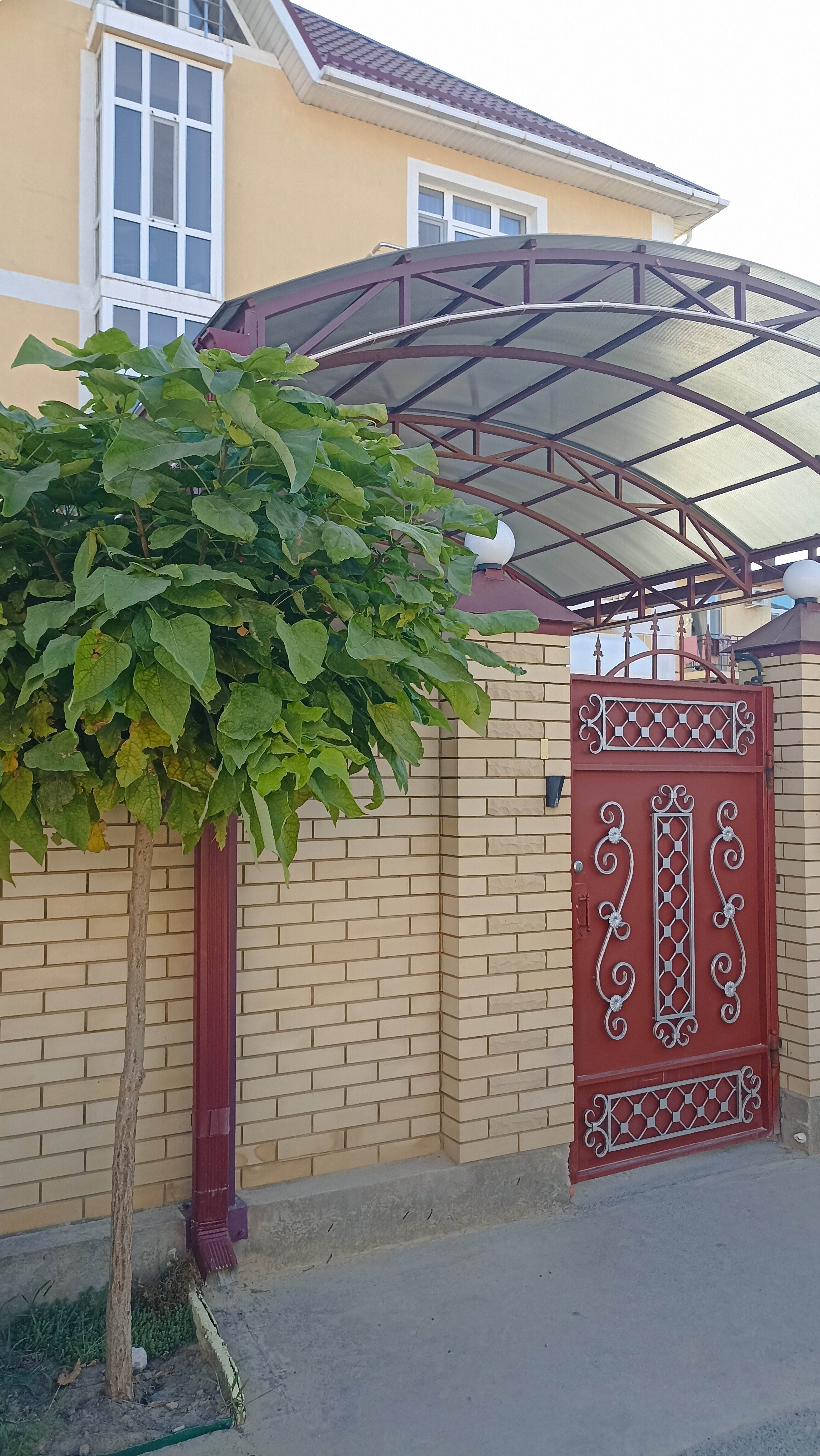 Фото Лучезарный