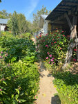 Tikhaya ulochka (ulitsa Shmidta, 11А), guest house