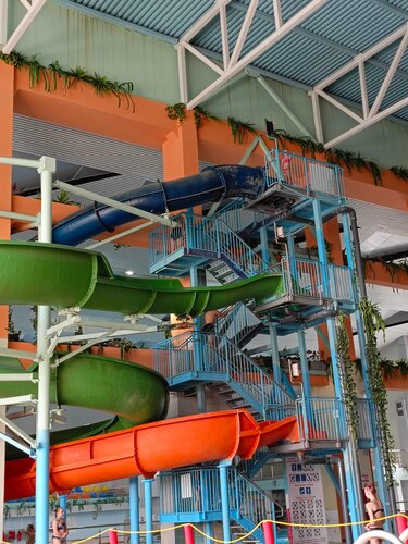 Транс адаммен кім жыныстық қатынасқа түскен?