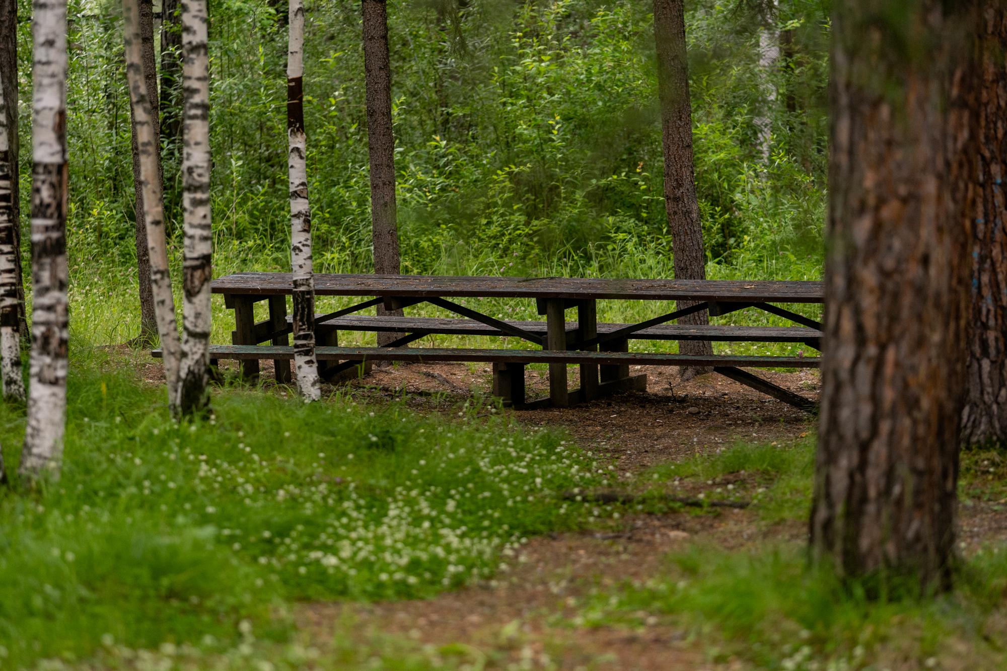 Фото Энергетик