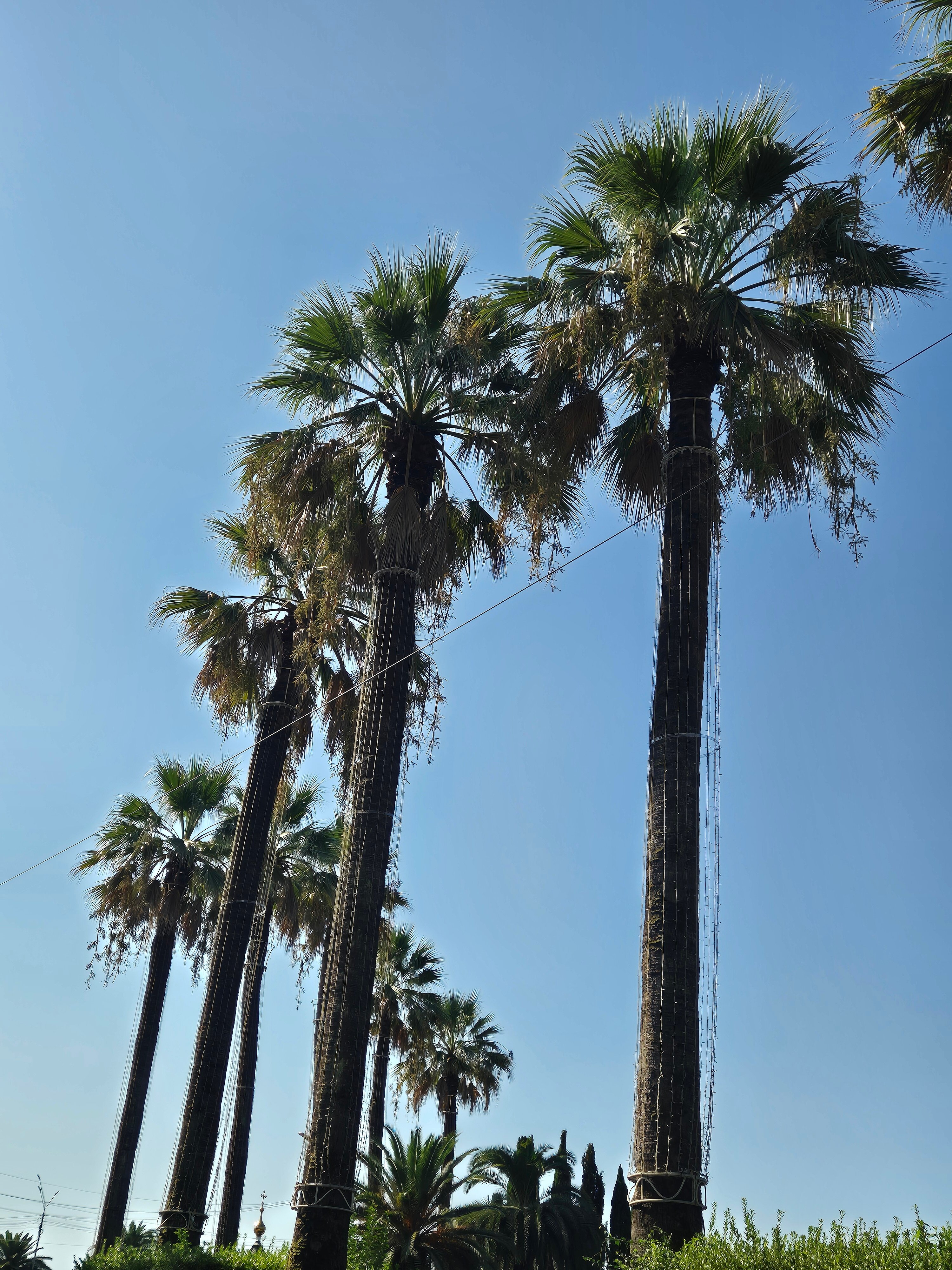 Фото Водопад