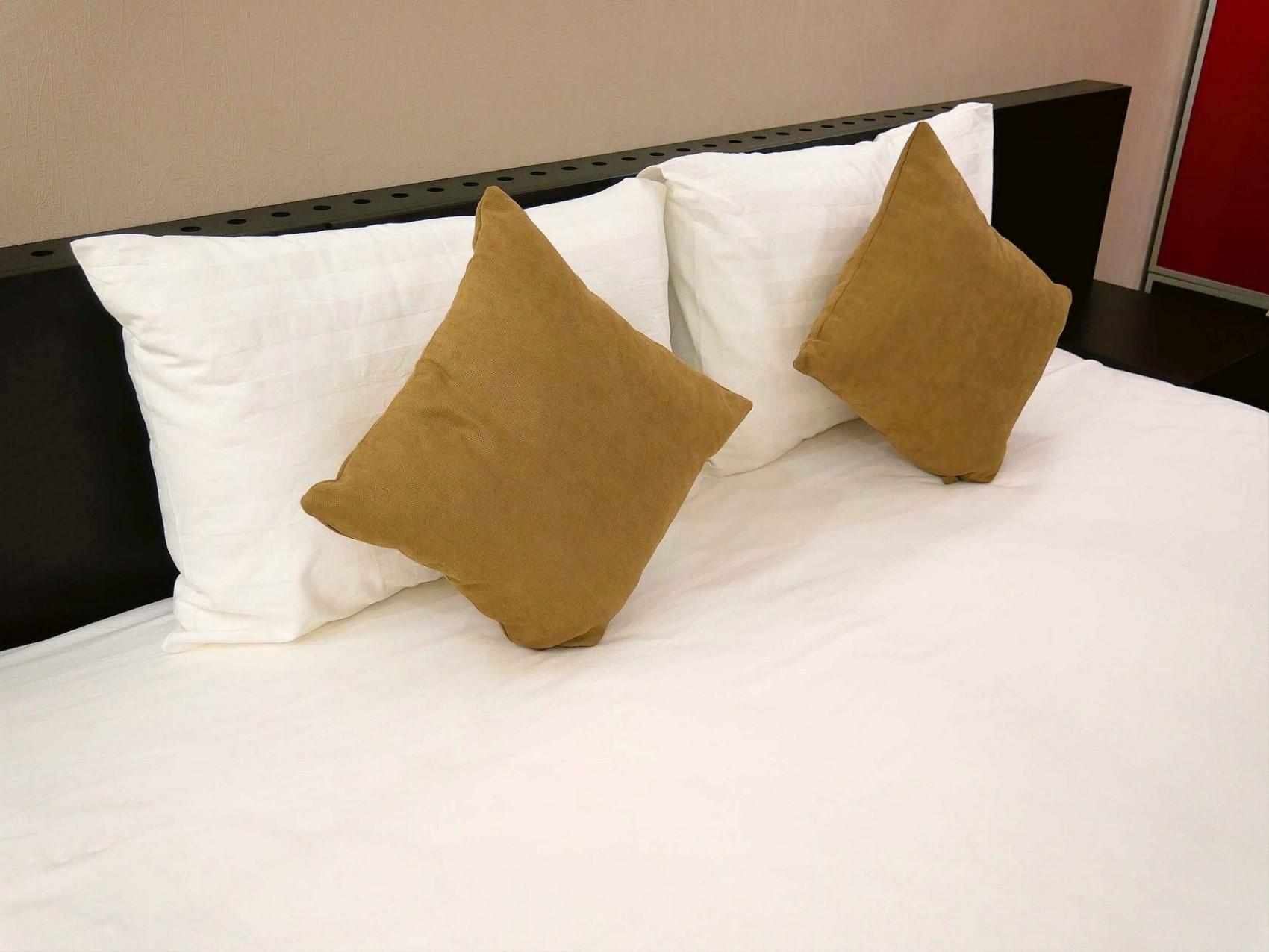 Фото Ковчег