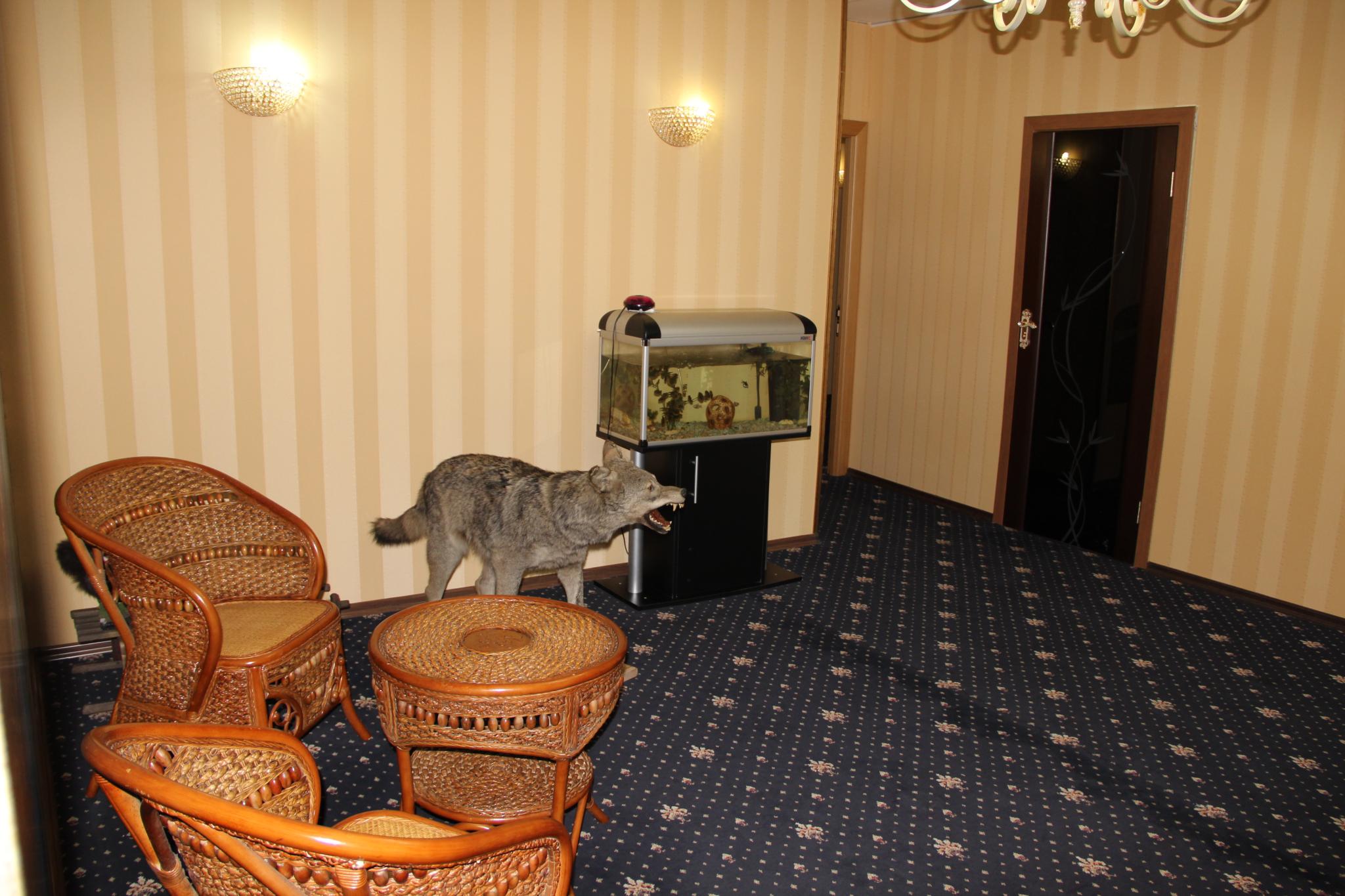 Фото Классик