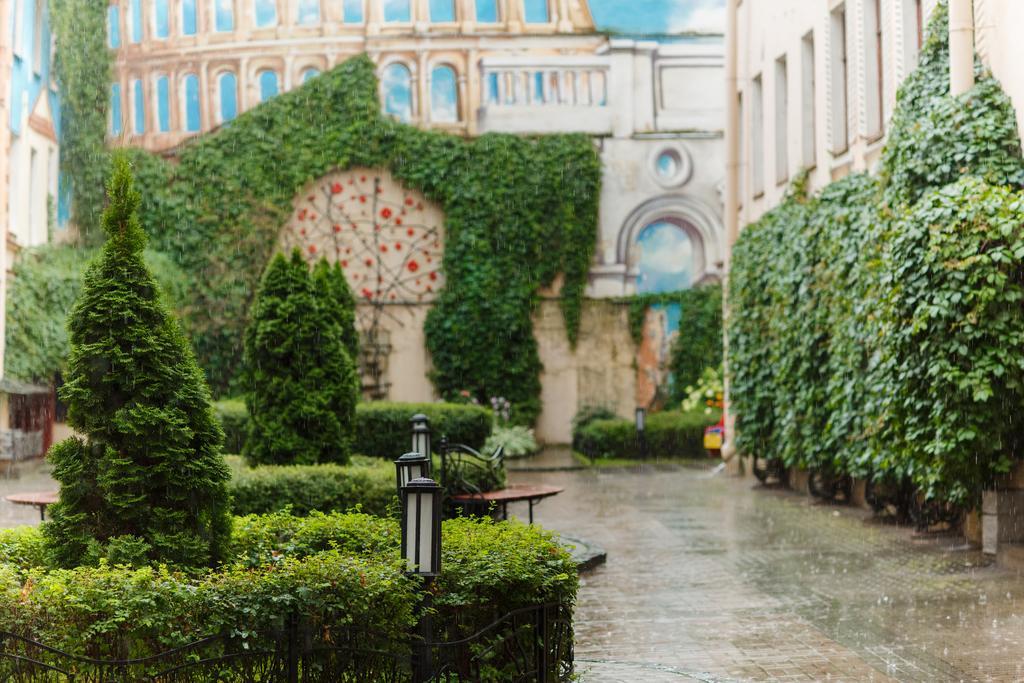 Фото Отель Итальянская 29