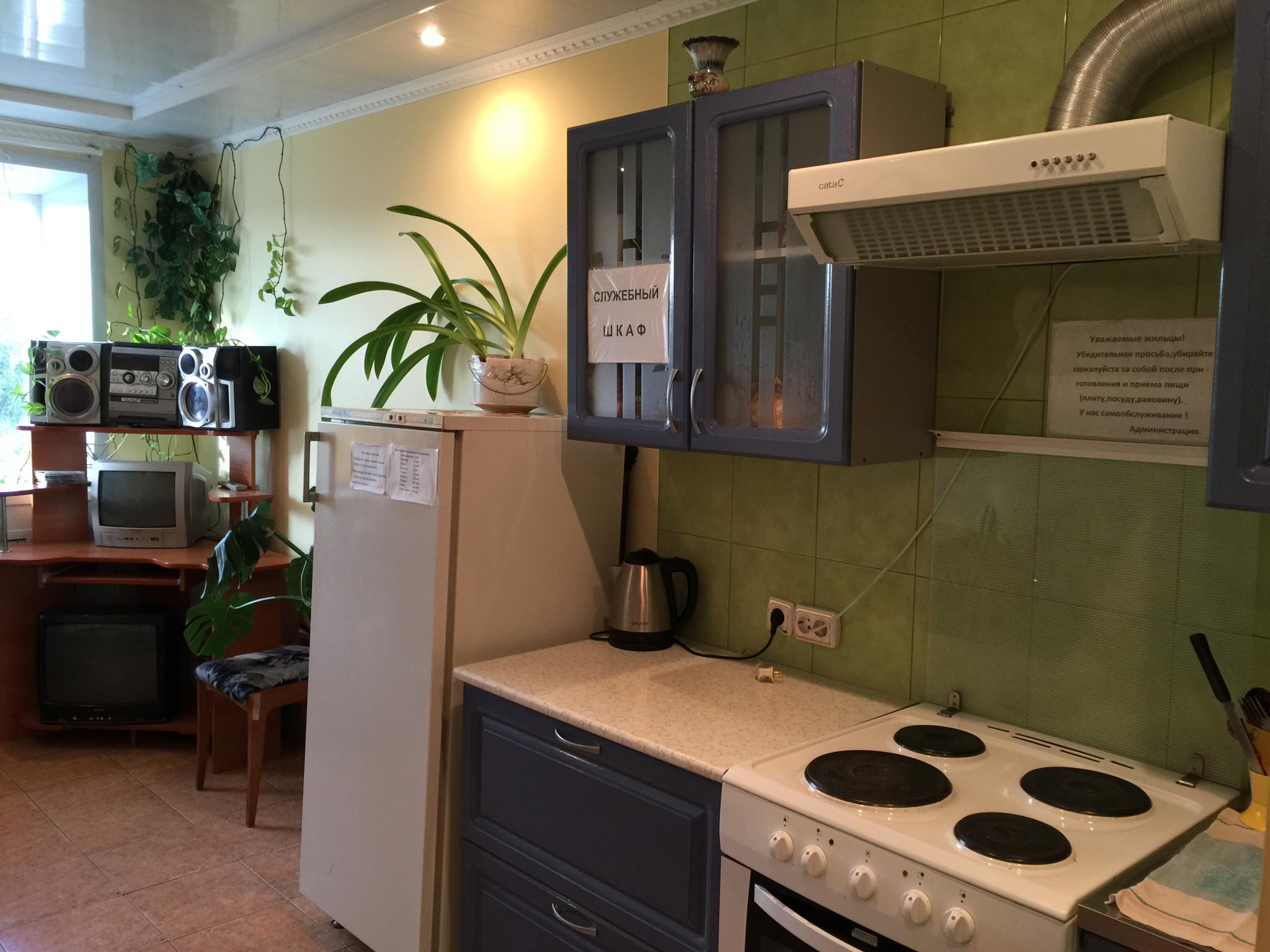 Фото Берёзка