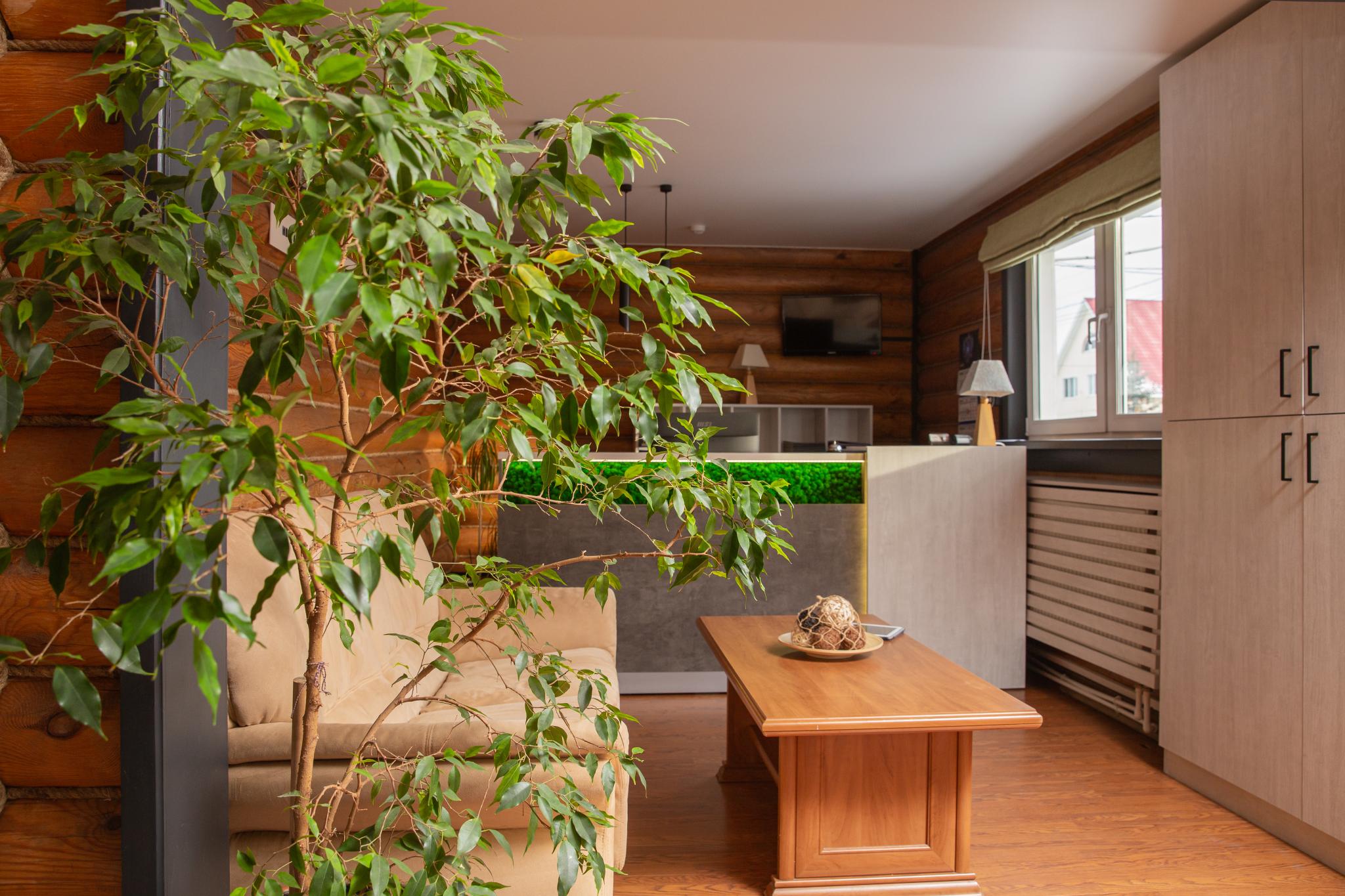 Фото Солнечный