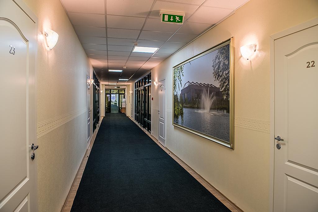 Фото Авиатор