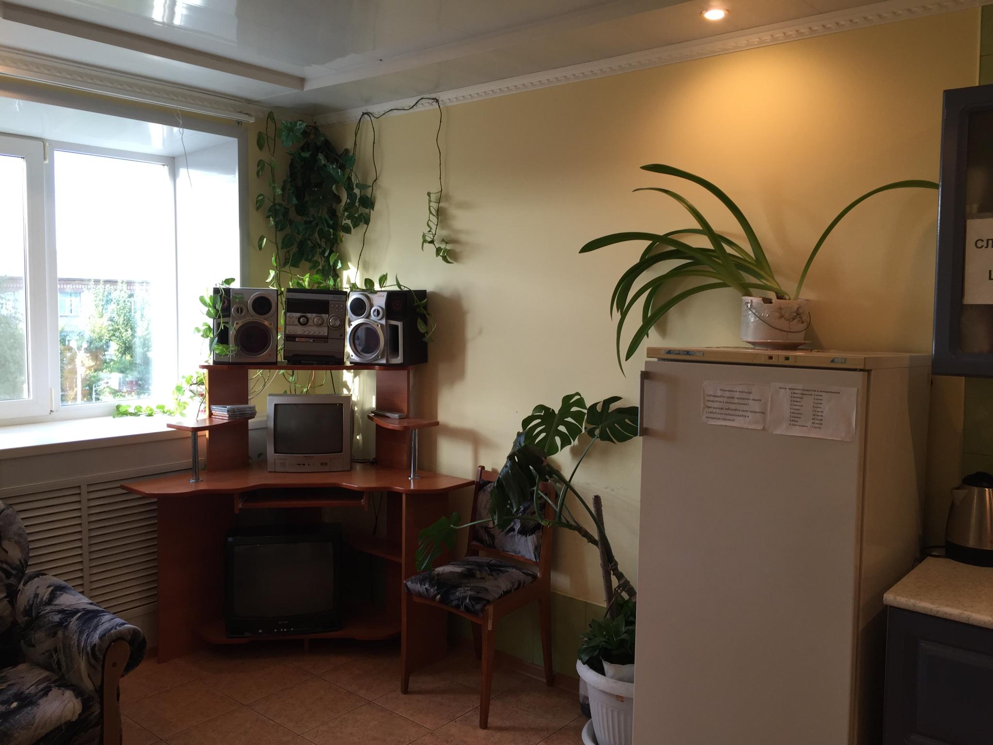 Фото Берёзка