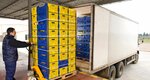 Dar Alzman Goods Wholesalers Company (8, 32B Street, Ras Al Khor Industrial 3, Ras Al Khor, Dubai), foodstuffs wholesale