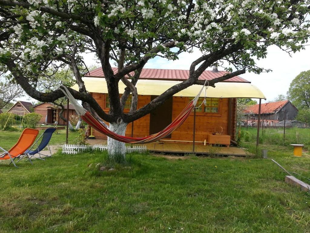 Фото Вальтерра