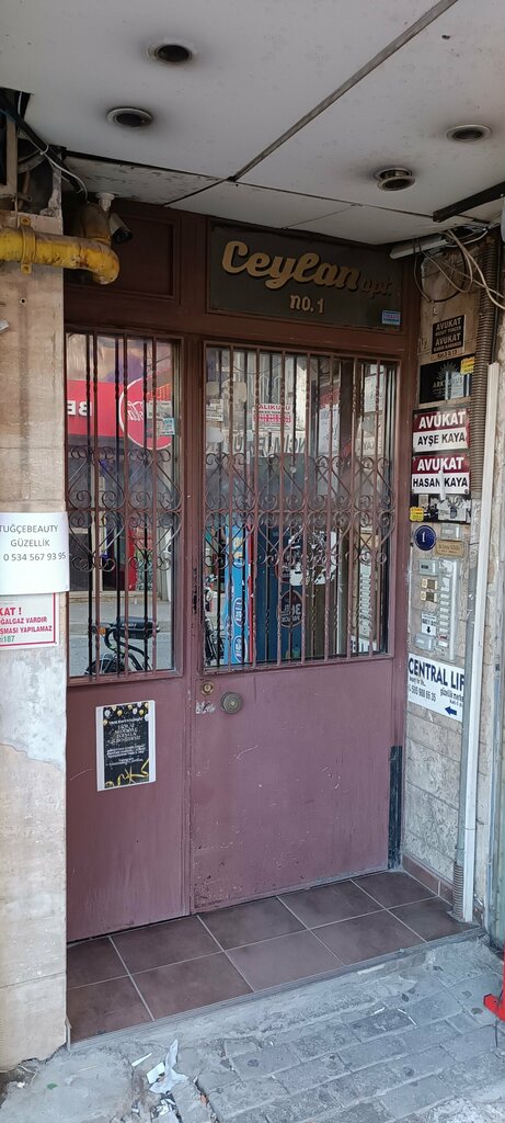 Business consulting Arkturus Education and Consultancy Center, Izmir, photo