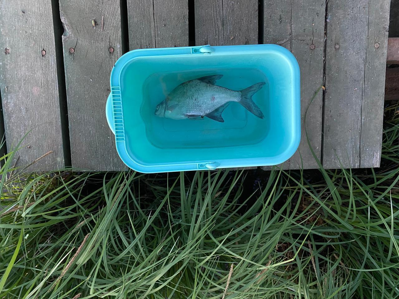 Фото Прибрежный