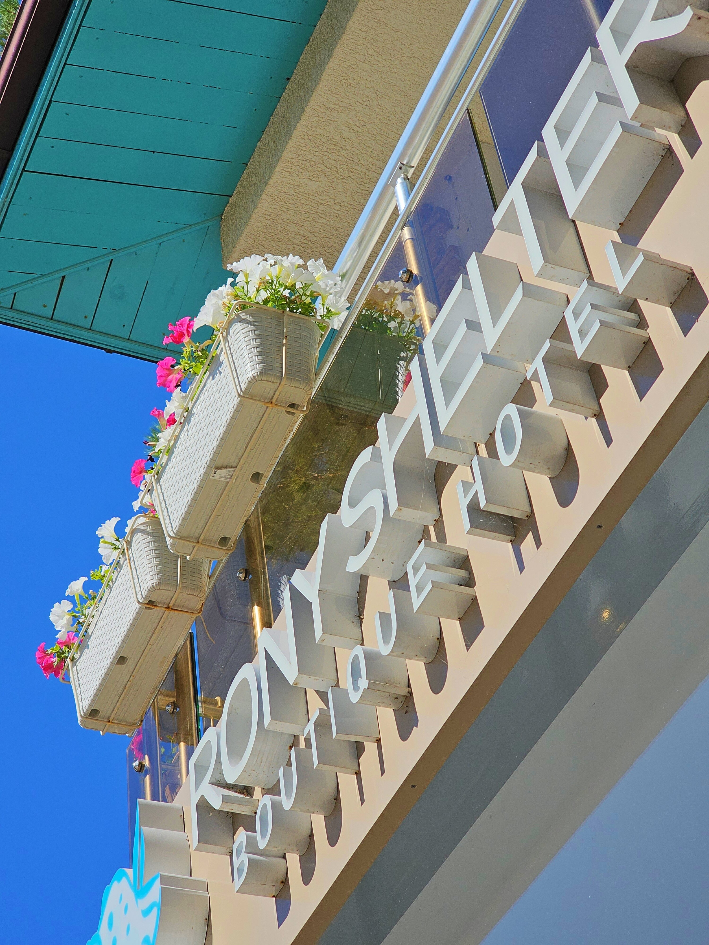 Фото Рони Шелтер