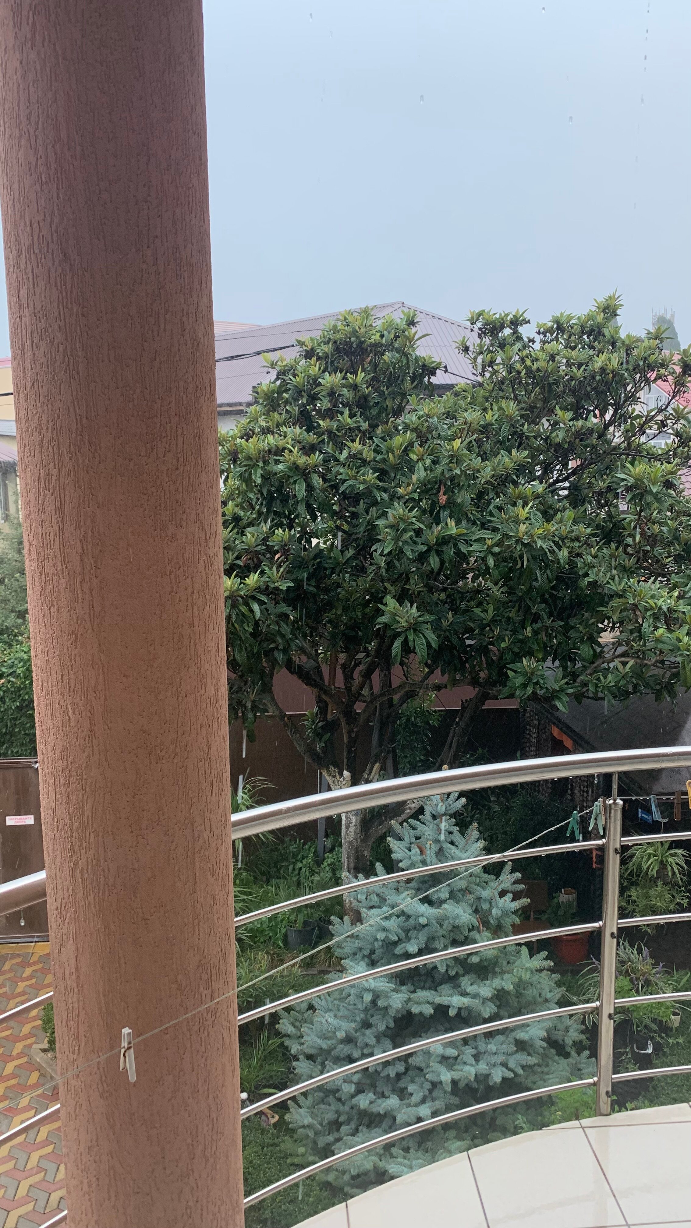 Фото Аврора