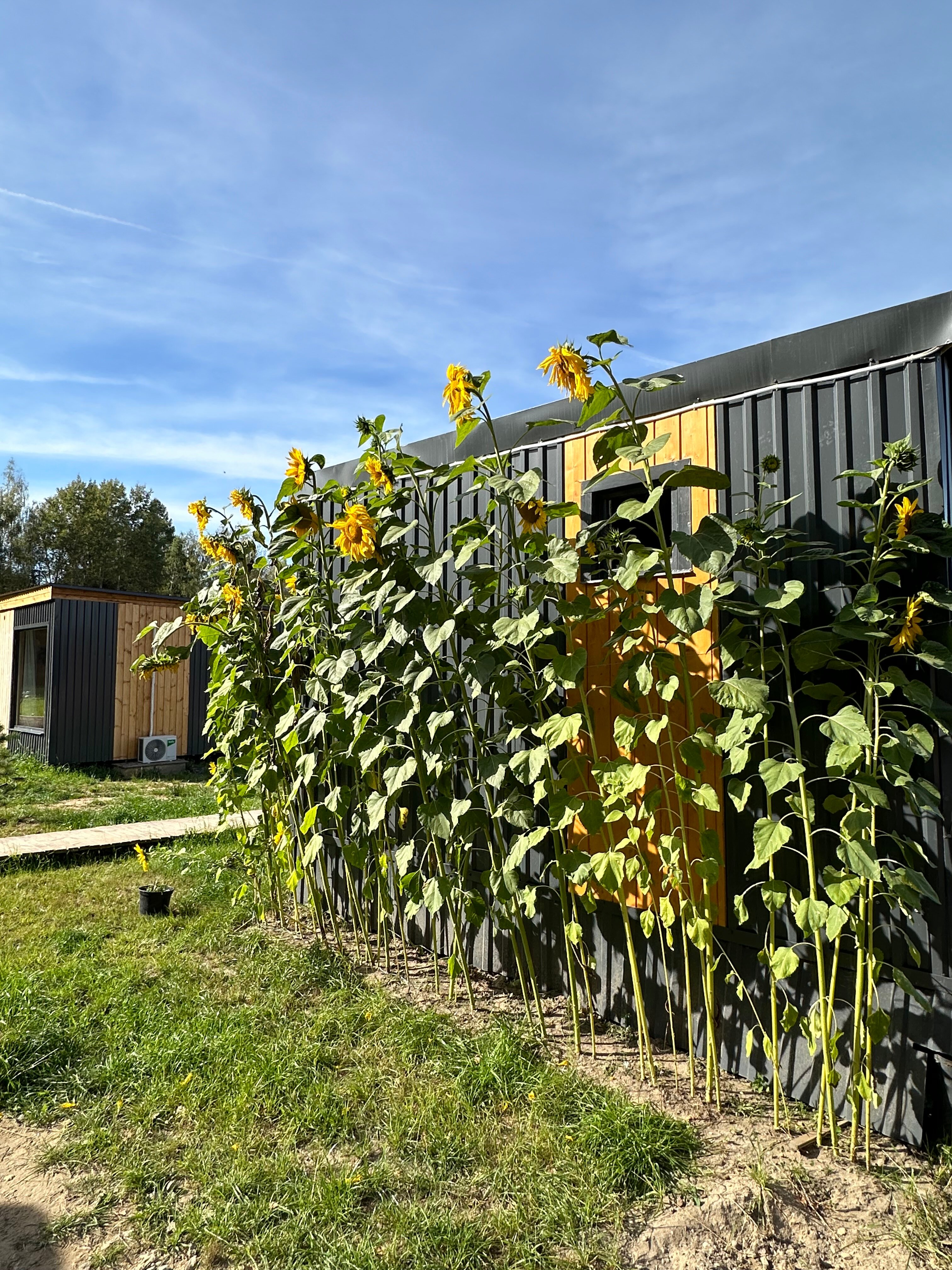 Фото ГлампВиль