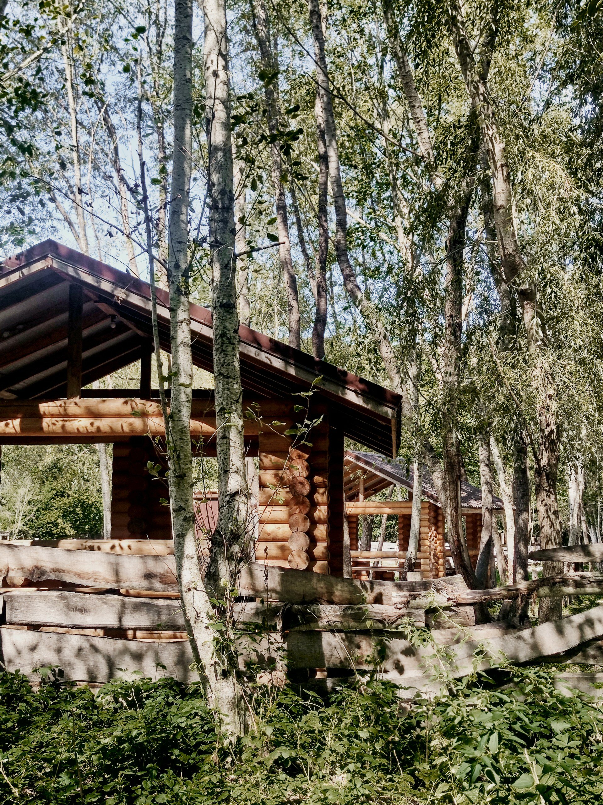 Фото Магия природы