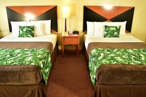 Гостиница Sleep Inn Hotel Paseo Las Damas