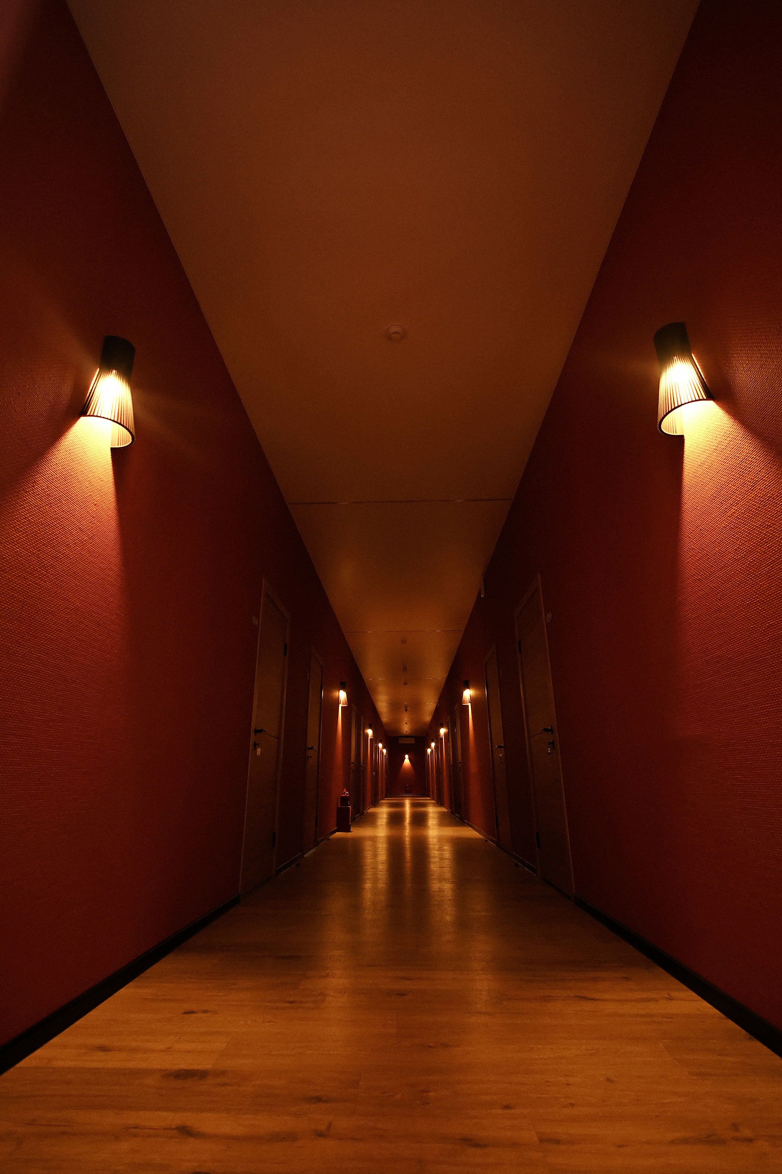 Фото Голден Норрис