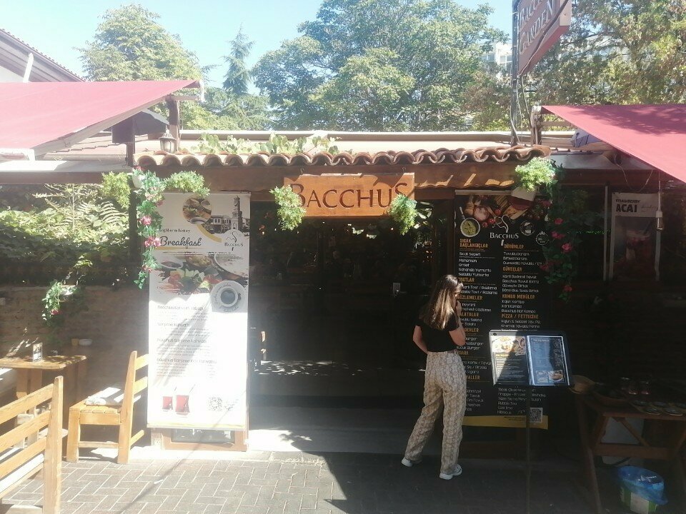 Cafe Bacchus, Ankara, photo