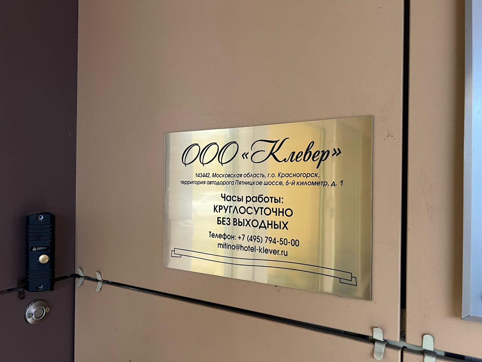 Фото Клевер