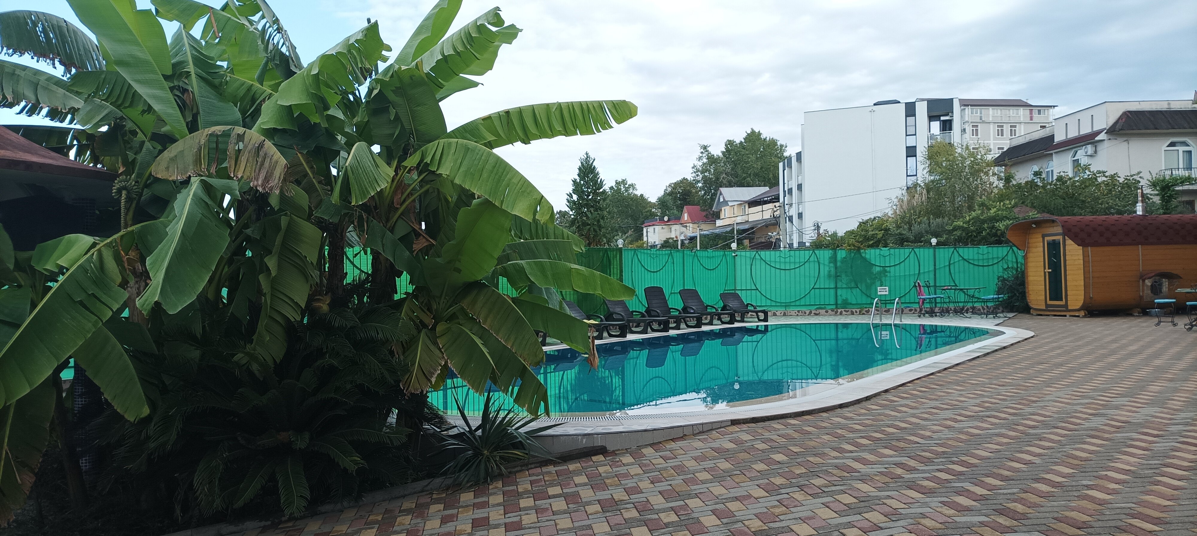 Фото Эдельвейс