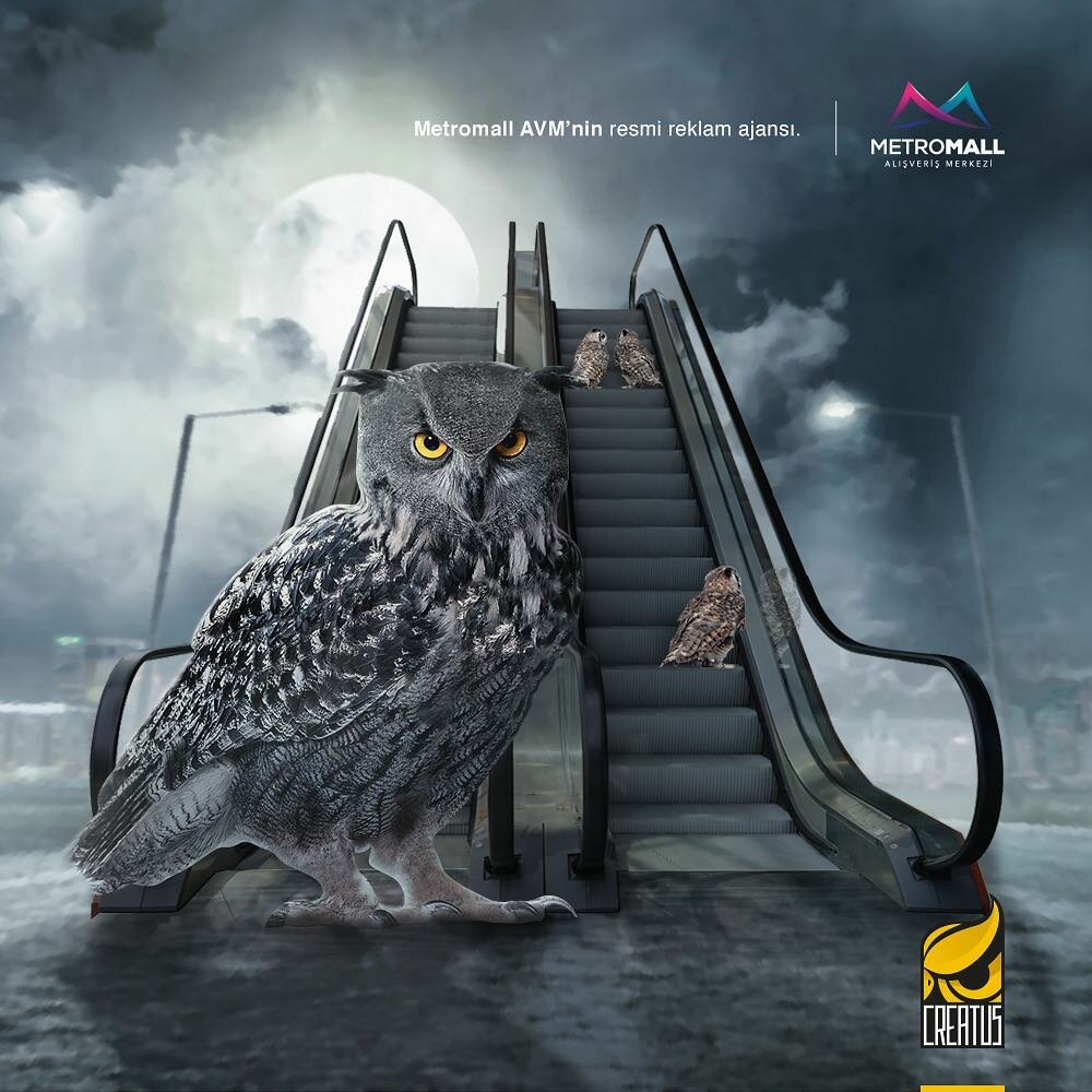 Advertising agency Creatus, Ankara, photo