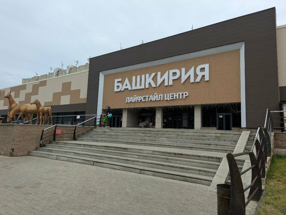 Sports club Kapoeyra, Ufa, photo