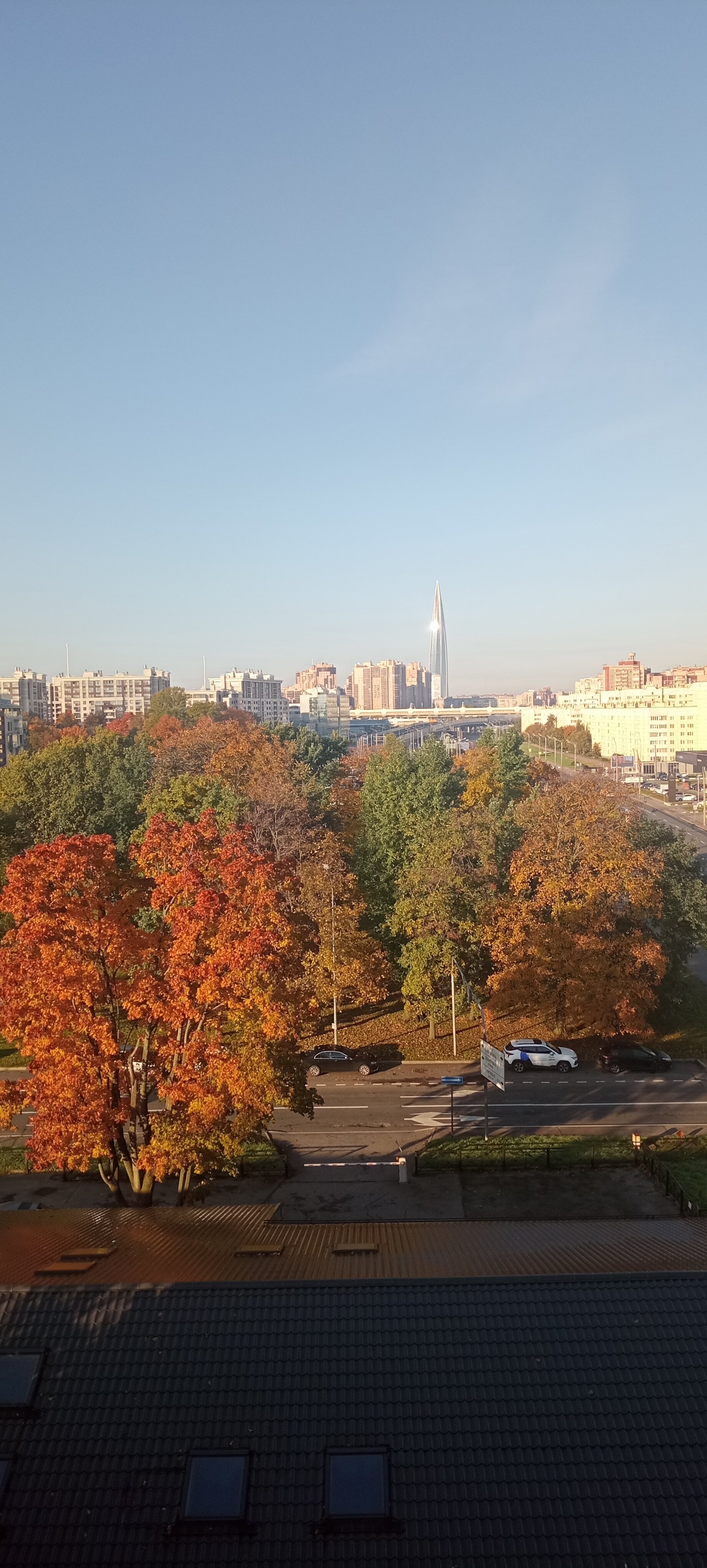 Фото Елагин