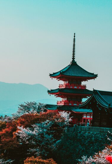 Travel agency Al Fahim Travels, Ajman, photo