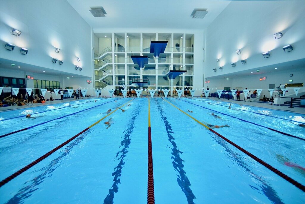 Management company Hamilton Aquatics, Dubai, photo