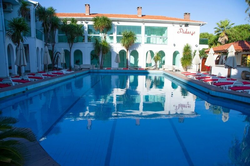 Гостиница Pidasus Hotel в Бурхание