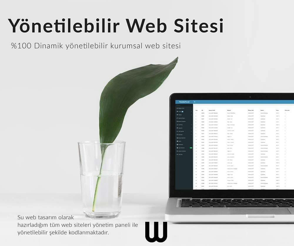 Web design studio Su Web Tasarım, Adapazari, photo
