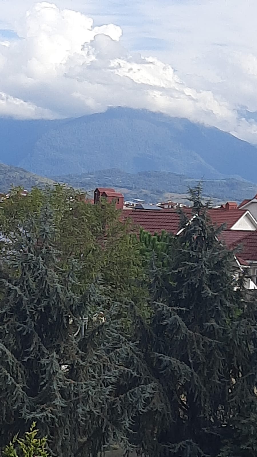 Фото Колибри