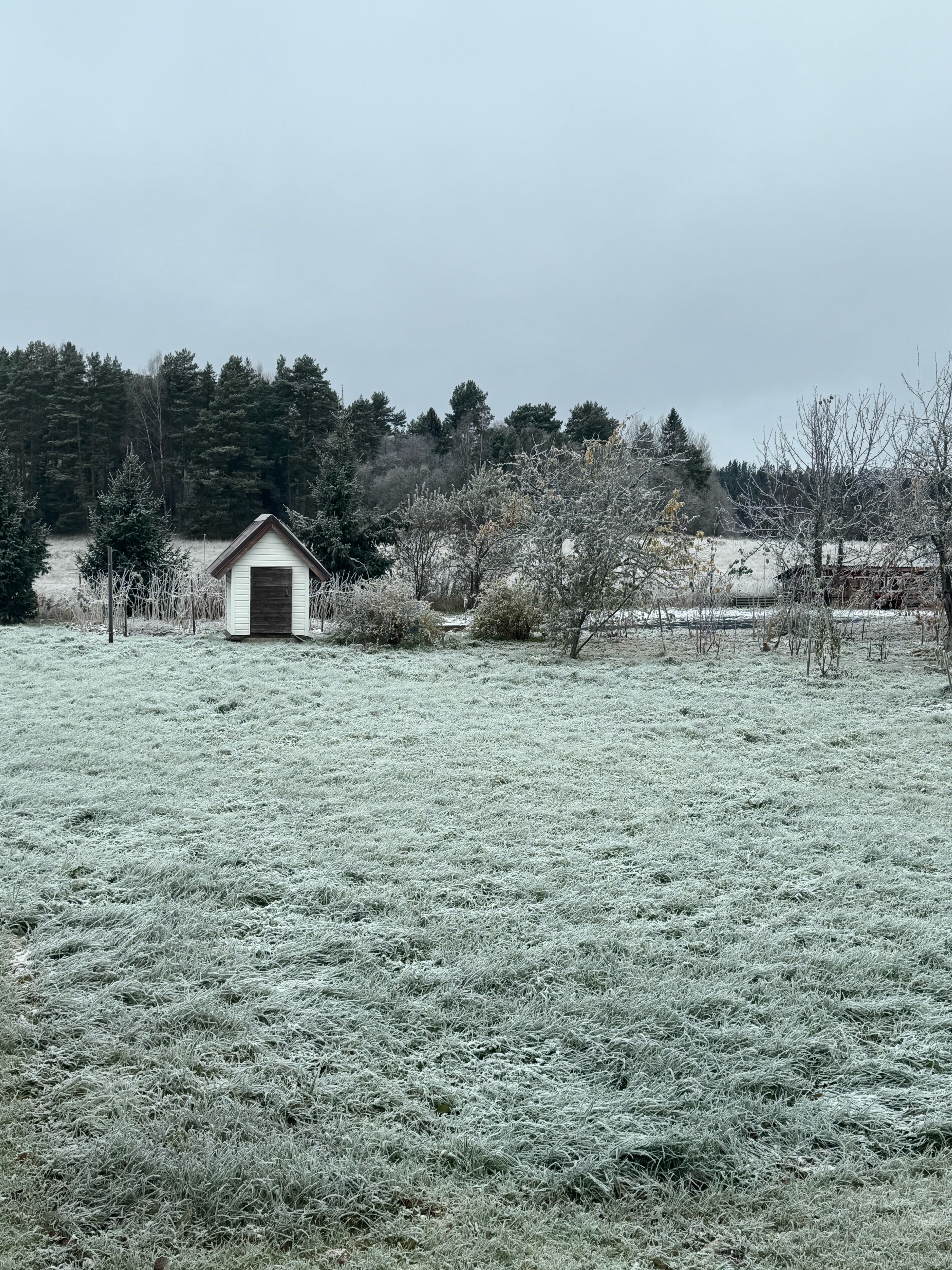 Фото Остров Мейери