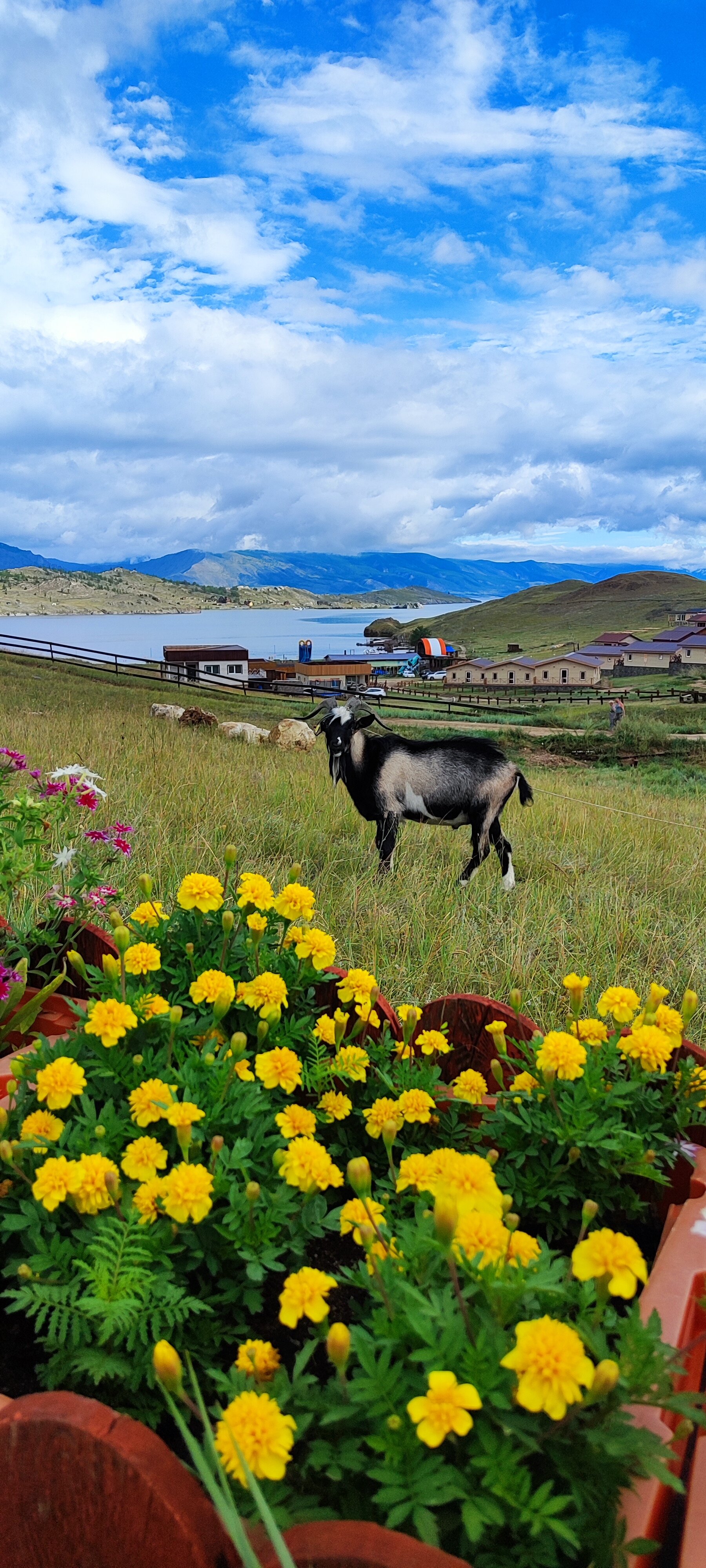 Фото Наратэй