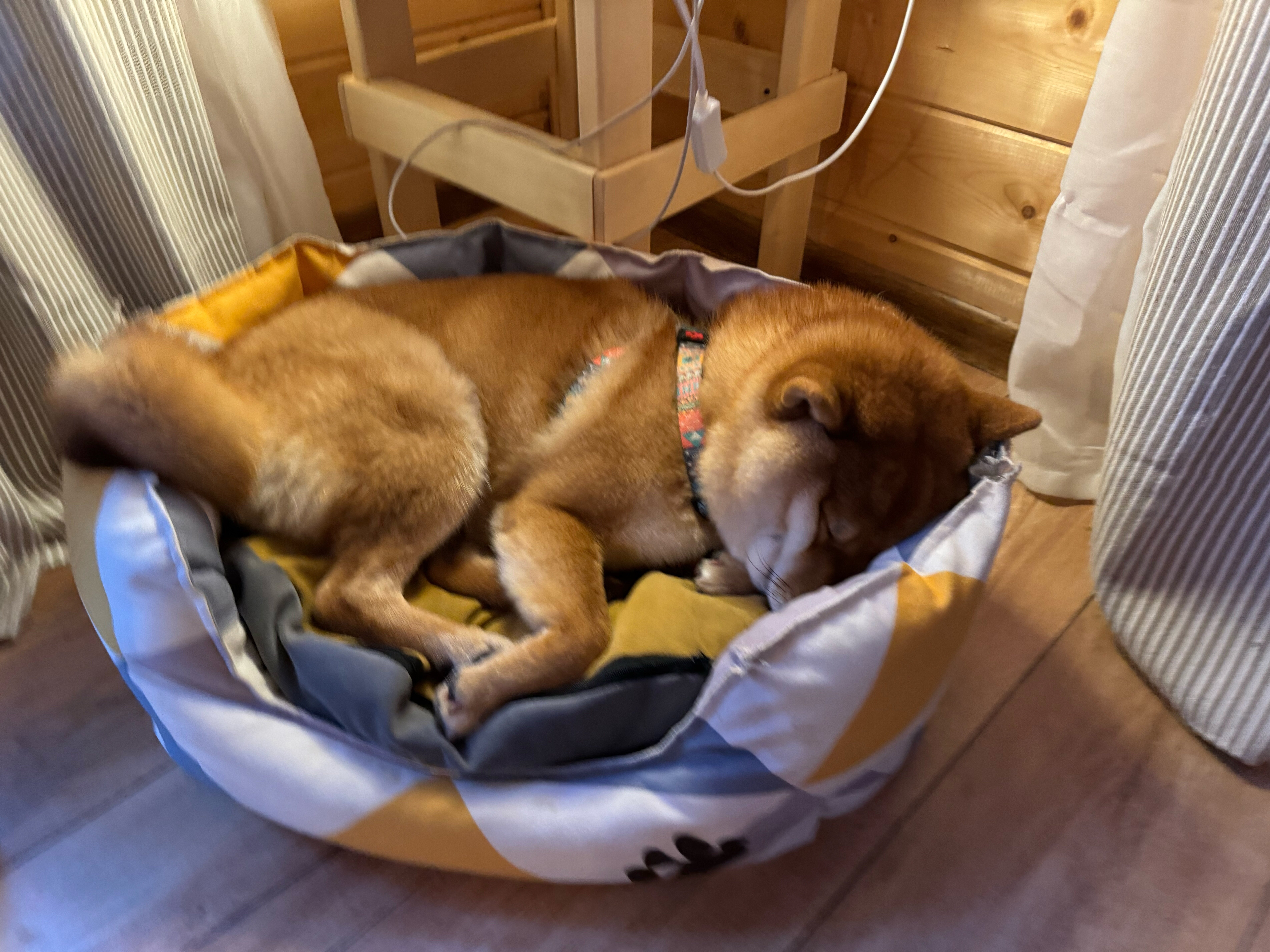 Фото Belka Village