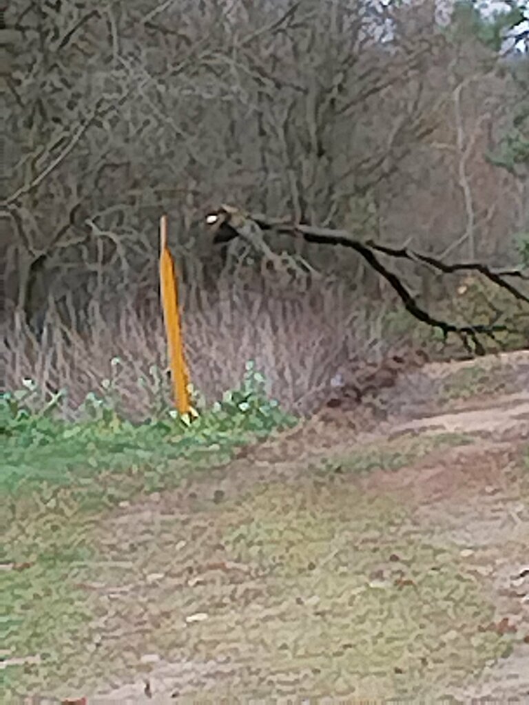 Orthodox church Церковь святых Петра и Павла, Vitebsk District, photo