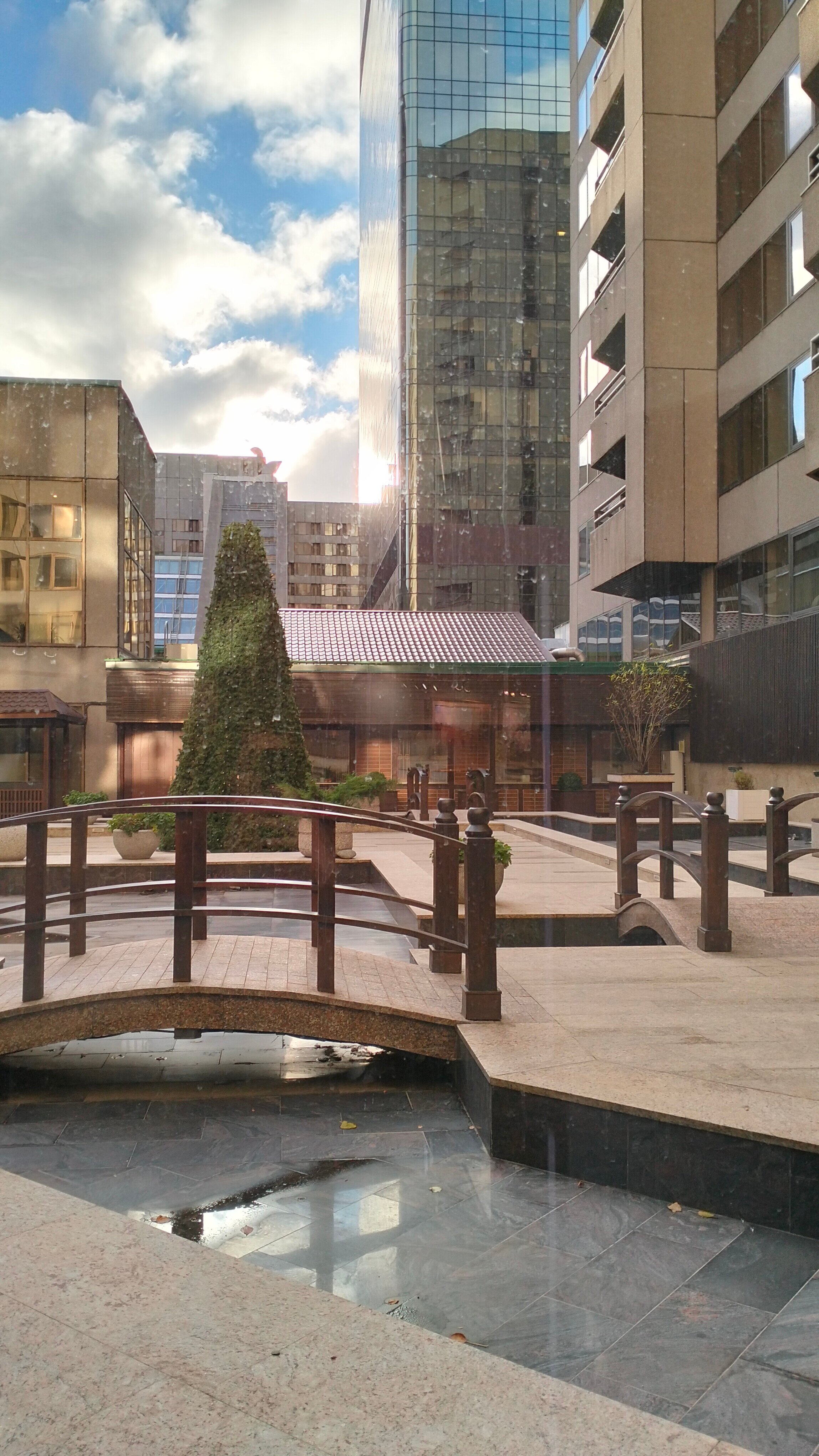 Фото Международная