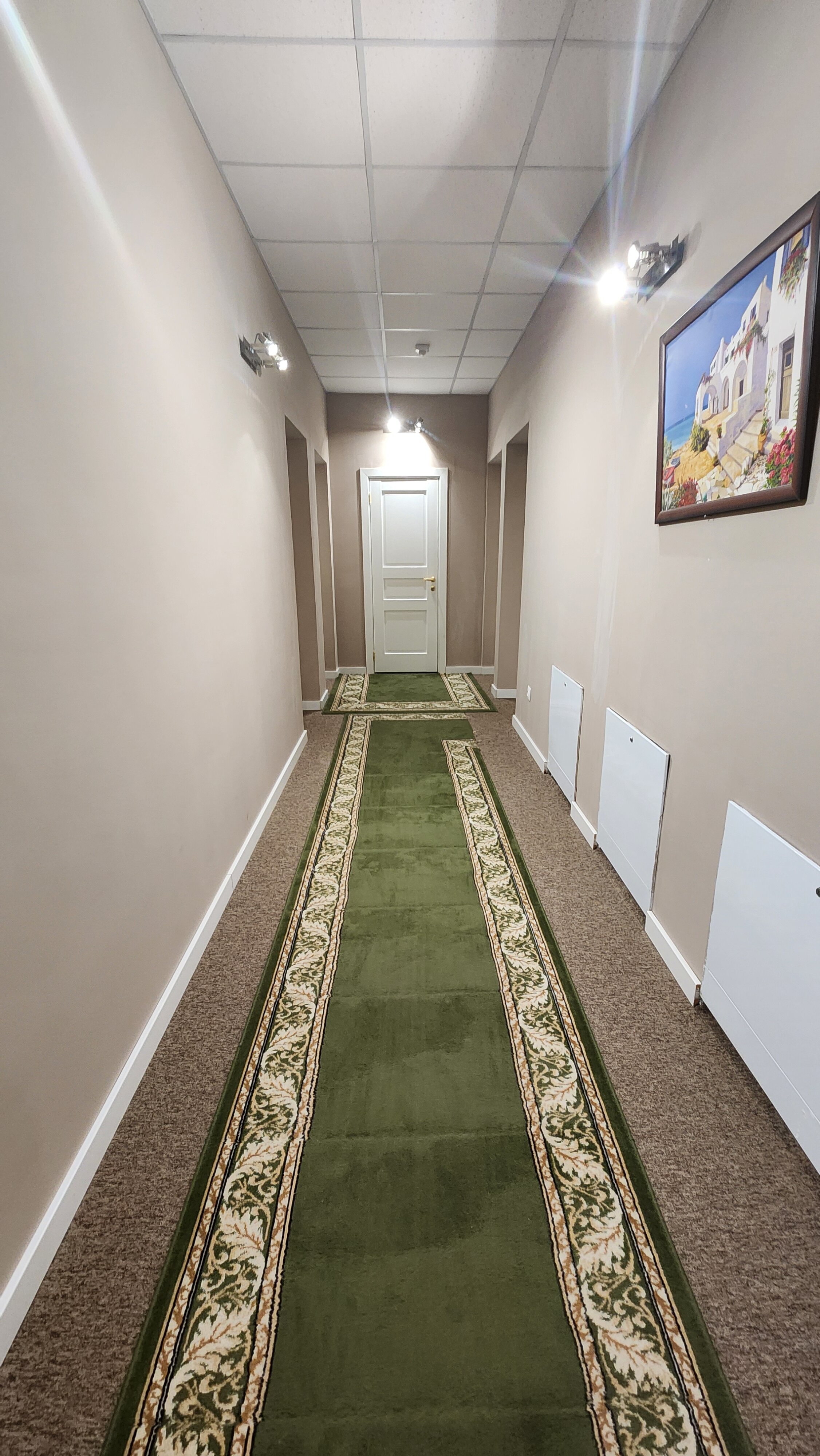 Фото Сова в Шереметьево