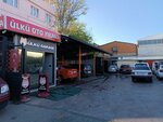 Ulku Car Wash (Bursa, Osmangazi, Veysel Karani Mah., Eski Gemlik Yolu Cad., 25), auto detailing