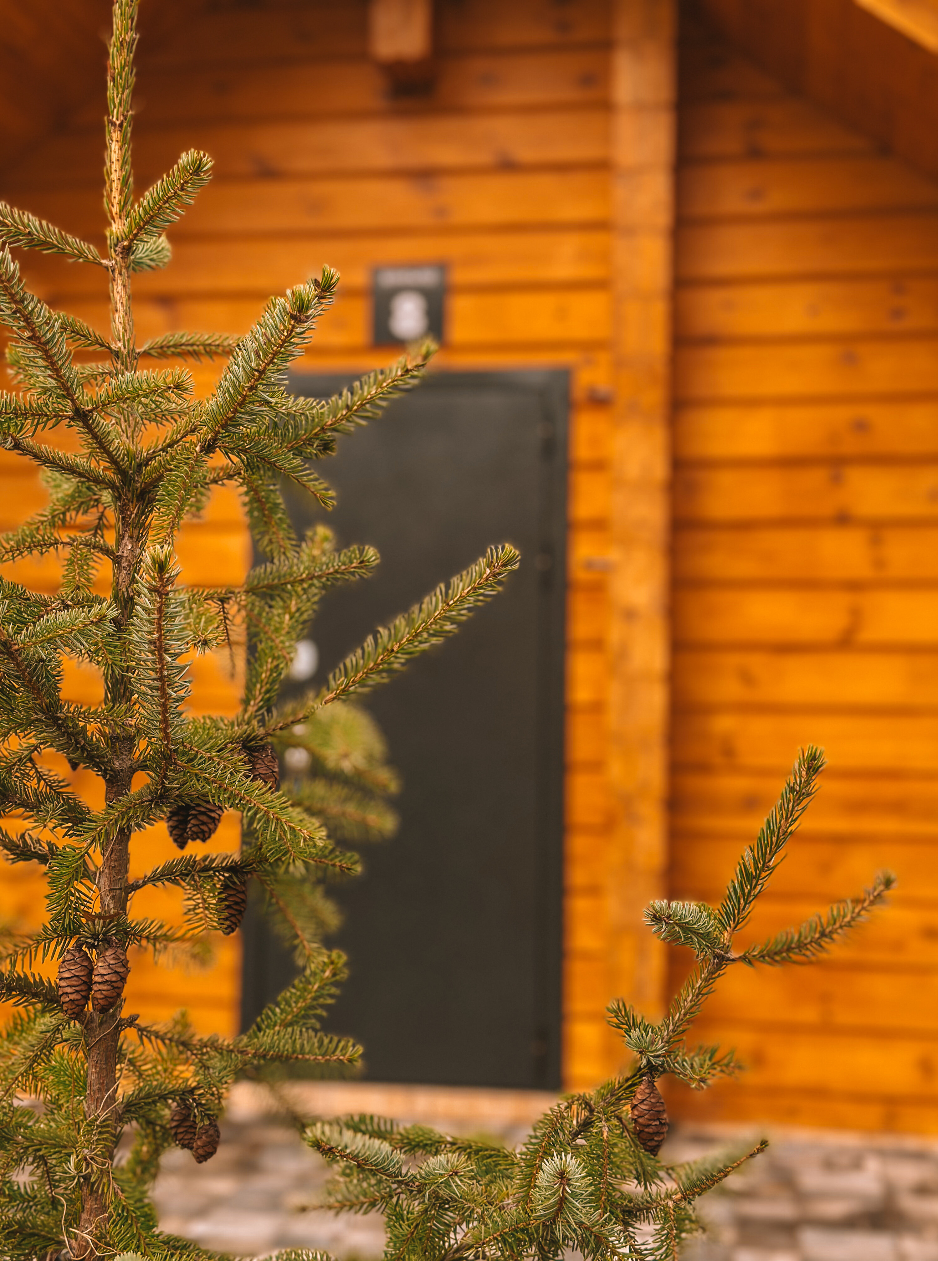 Фото Атмосфера