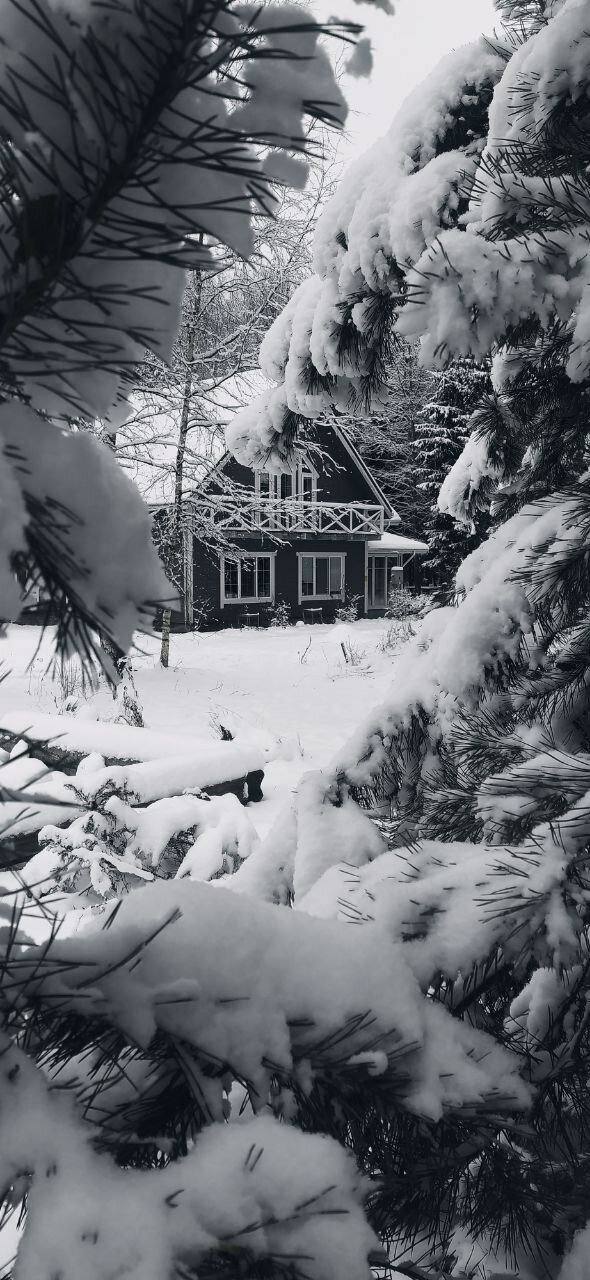 Фото Хутор Малиновка