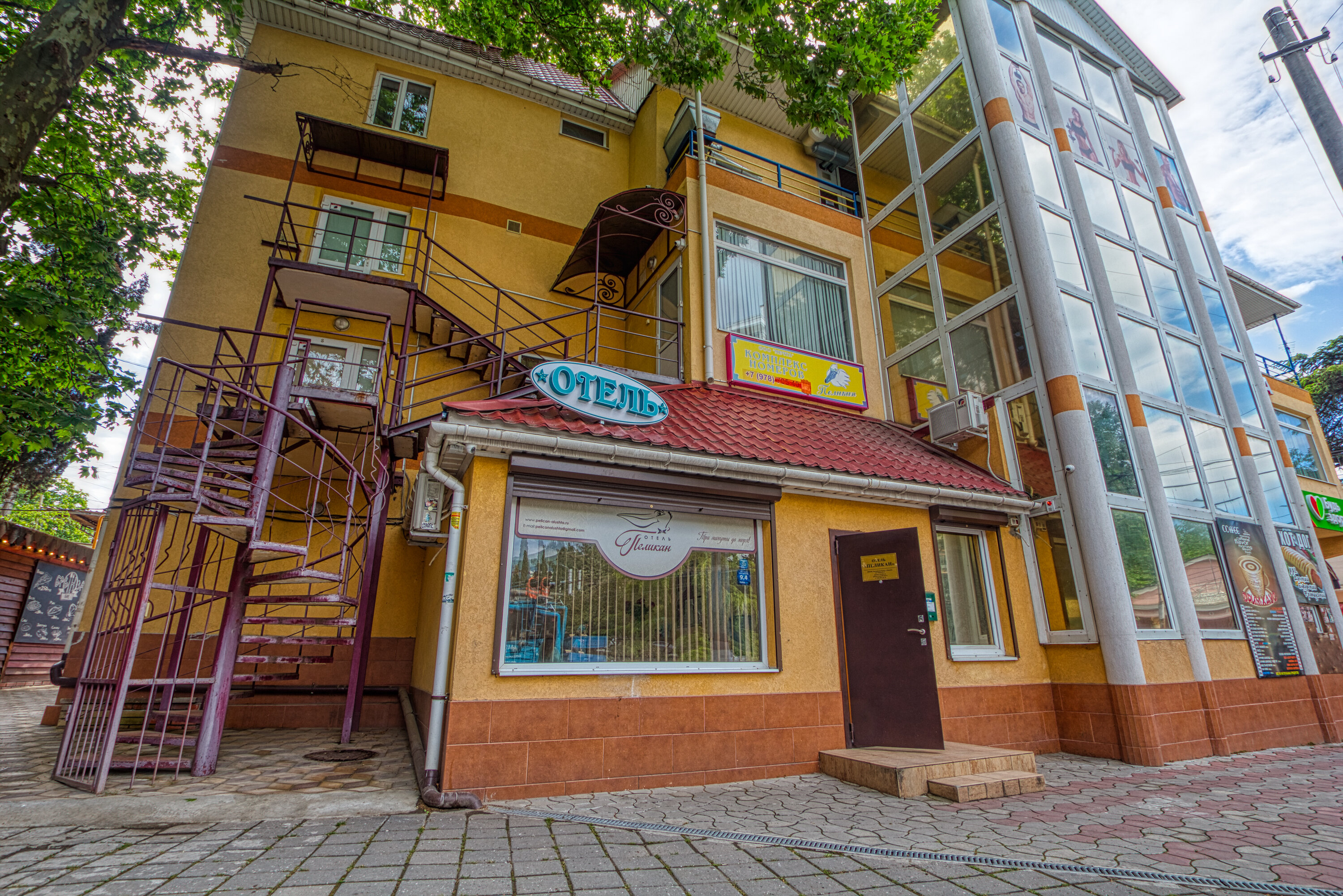 Фото Пеликан