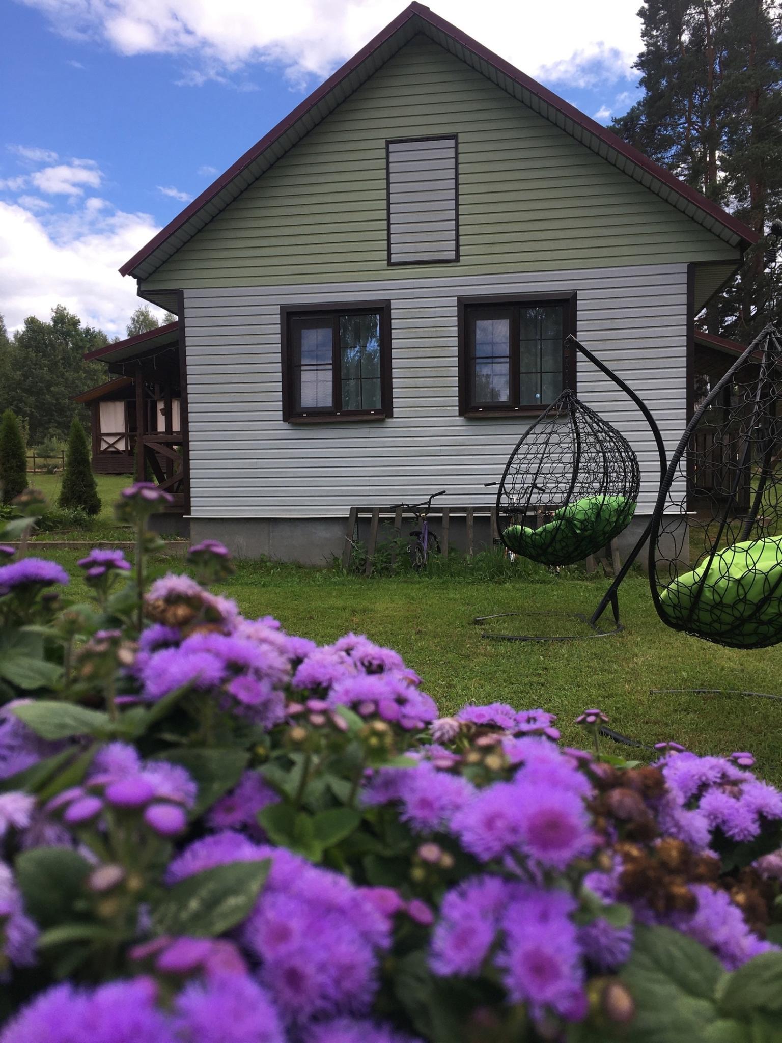 Фото Сосновая роща